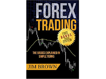 FOREX TRADING:  The Basics Explained in Simple Terms (Forex, Forex for Beginners, Make Money Online, Currency Trading, Foreign Exchange, Trading Strategies, Day Trading)